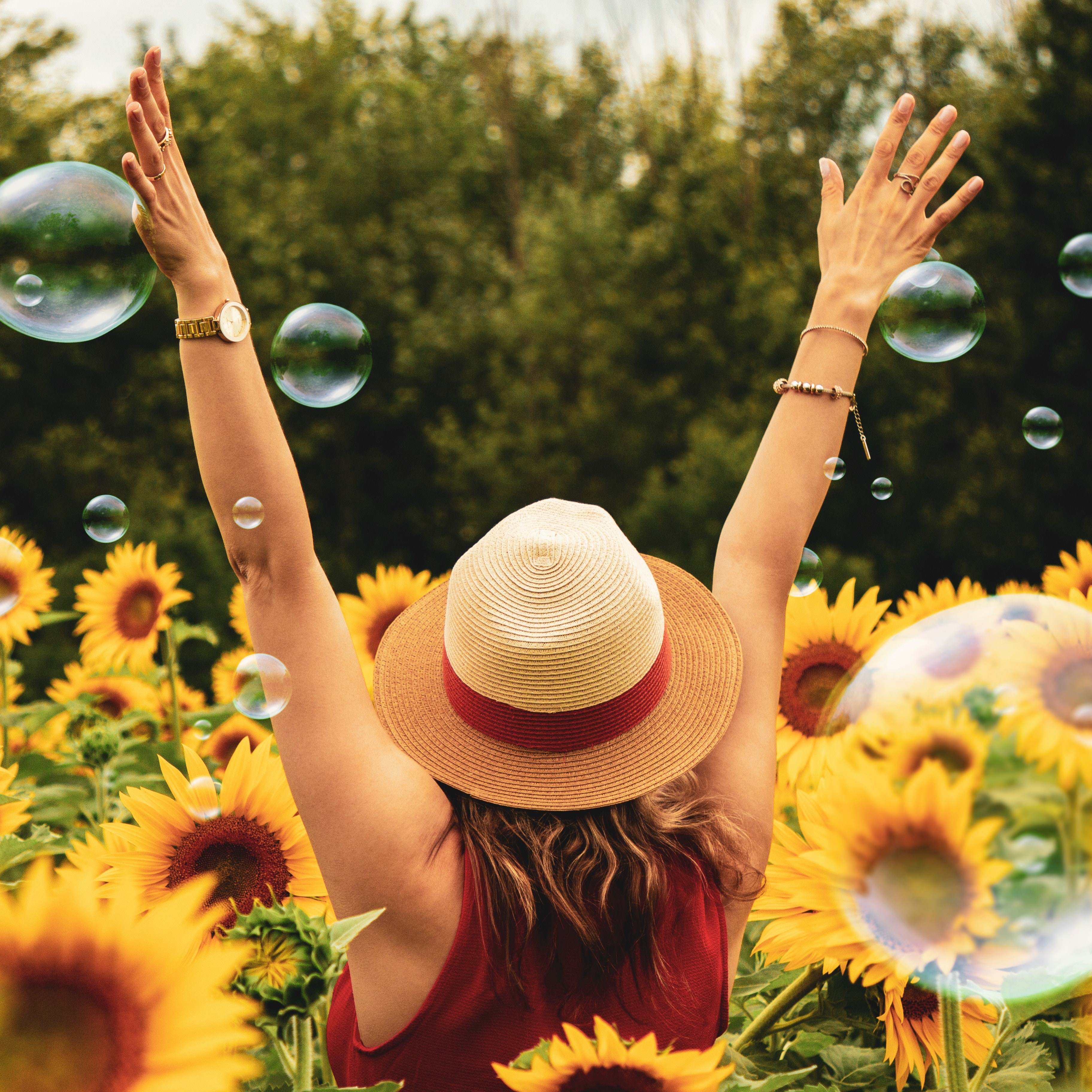https://www.cassioprof.com/blogue/photography-of-woman-surrounded-by-sunflowers-1263986.jpg