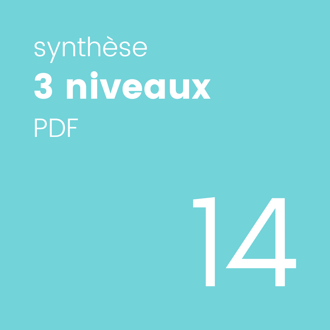 Synthèse PDA triple pdf